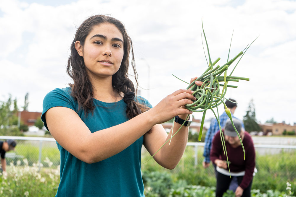 agriculture student holding freshly harvested scapes