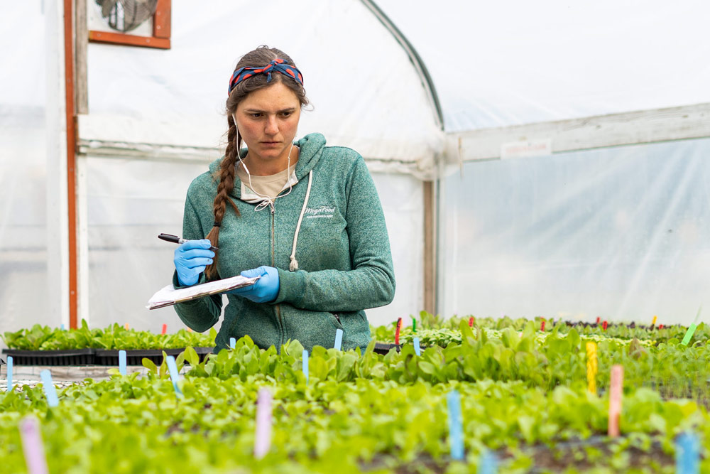 Student making notes about plants growth